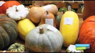 Qu'est-ce que je mets dans mon panier ? Des courges.mov