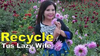 Recycle Tus Lazy Wife~10/14/2024~