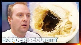 Officers Horrified by Giant Bear Packed in Luggage | S2 Ep5 | Border Security Australia