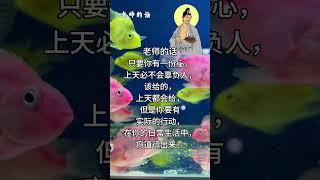 老师的话 | 慈父般的叮咛~修行箴言录.45