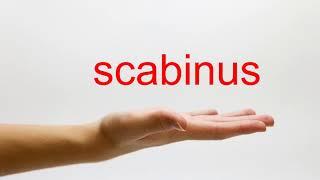 How to Pronounce scabinus - American English