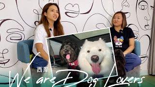 西摩是如何養大的？ We are Dog Lovers