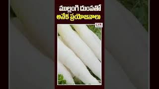 ముల్లంగి దుంపతో అనేక ప్రయోజనాలు | Many Benefits of Radish | CVR Health