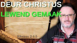 Deur Christus lewend gemaak | Dei 575