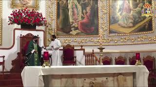 Santa Misa desde la Parroquia Basílica de Santa María de Guadalupe en Pachuca, Hgo.