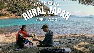 Living in Rural Japan: We Move to a Renovated Akiya in Ine, Japan | April Vlog