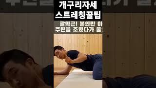 다리찢기에 괄약근을 쓰면?! #개구리자세 #스트레칭 #frogstretch #다리찢기 #고관절스트레칭 #골반교정 #내전근스트레칭