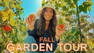 Giant carrots and tiny melons | Fall Garden Tour