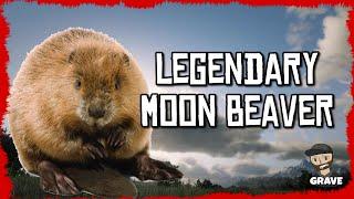 ⭐Legendary Moon Beaver Location Red Dead Online