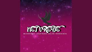 NET VREDE (feat. Woniemusicsa, Jaylin Warne, Joey Joe & Kopfkids Entertainment)