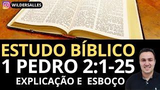 ESTUDO BÍBLICO 1 PEDRO 2:1-25 ( EXPLICAÇÃO E ESBOÇO)