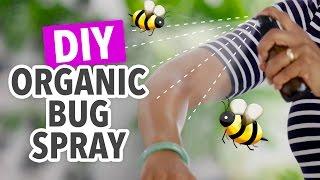 DIY Bug Repellent ~ Organic & Natural - HGTV Handmade