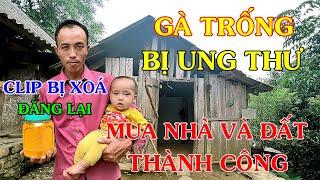 VƯƠNG MINH TÂY BẮC ' KHỔ HƠN CHỮ KHỔ - GÀ TRỐNG VỢ CH,ẾT SỚM NUÔI CON 9 THÁNG TUỔI