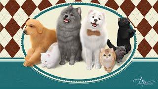 Pet System Trailer | Prepare yourself for your exclusive fluffy babies!