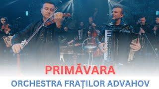 Orchestra Fraților Advahov - Primăvara