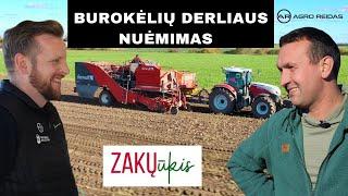 Burokėlių derliaus nuėmimas Zakų ūkyje || AGRO REIDAS