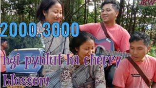 2000.3000.ngi pynlut ha cherry blossom