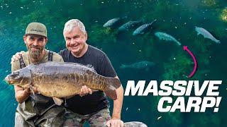 Effortless Holiday Carp Fishing with DEEPER!