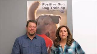 FetchMasters Positive Gun Dog Training RV Tour