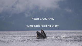 Tristan & Courtney: Humpback Story