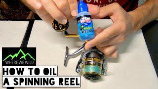 HOW TO OIL A SPINNING REEL - Basic Fishing Reel Maintenance