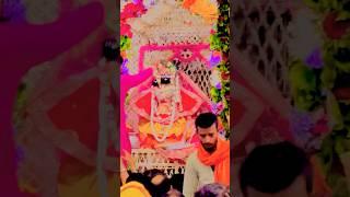Shri bankey bihari ji ️ | Bankey bihari live #shorts #vrindavan #harekrishna #ytshorts #bankebihari