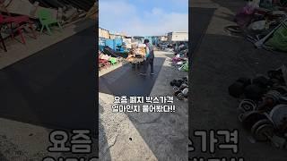 폐지박스 100KG 가져다주면 얼마나 받을까? #2025년고물시세