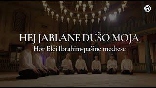 Hej jablane - Hor Elči Ibrahim-pašine medrese