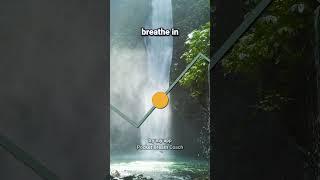 4-6 Breathing for Stress Relief: 6 Breaths Per Minute  #breathing #breathingexcercises