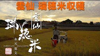 【雲仙市瑞穂町】2020年新米収穫・生産者（水元寛文）放射能検査済み米