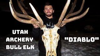 THE STORY OF "DIABLO" | UTAH ARCHERY ELK