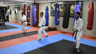 Kata Pinan Nidan Shorin-Ryu Shinshukan CiB Workout