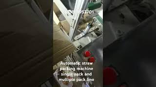 #strawpackingmachine #paper packaging for straw,single pack and multi PCs bulk package machine