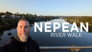 Nepean River Walk Vlog with our two Staffies