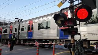 Railroad Crossing 기찻길 여행 백석리 땡땡 철도 건널목 일산 Fumikiri Train Metro Ilsan Korea - 2