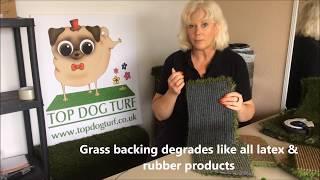 Latex Free / Polyurethane Backed Artificial Grass For Dogs