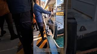Tying a boat to a dock with a rope: people tying a boat to a dock with a rope