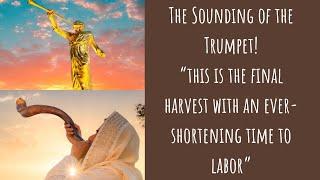 ️Feast of Trumpets: “Moroni Day”—The Final Harvest is Almost Over!!!