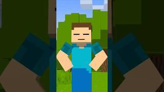 But My Buddy Can, Say Hi Buddy #minecraft #steve #entity #null #minecraftanimation