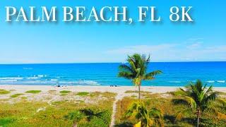 Palm Beach Coastline - 8K Aerial Tour