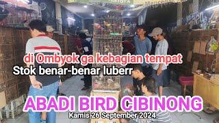 Update Ambyar stok sampai di Ombyok#AbadibirdCibinong 26/09/2024