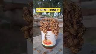 Best quality honey in india || Buy Pure honey online #purehoney #rawhoney #organichoney #jeetorganic