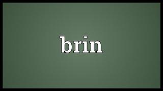 Brin Meaning