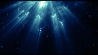 Shawn James - The Stones Cried Out