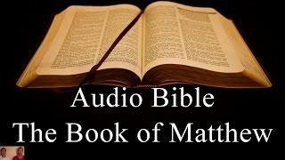 The Book of Matthew - NIV Audio Holy Bible - High Quality and Best Speed - Book 40 The Two Preachers