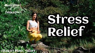 Relaxing and Meditation Music for stress relief  #meditationmelodies #innerpeacejourney #meditation