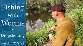 Dropshotting - Small River Sight Fishing With Worms - River Avon - 22/9/22 (Video 348)