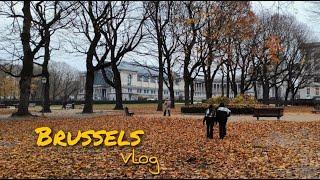 Πήγαμε Βρυξέλλες - Brussels vlog