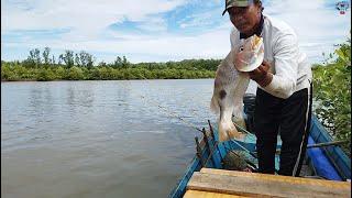 Cukup mancing di sungai saja untuk mendapatkan ikan kakap Tompel sebesar ini