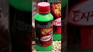 Supercharge your garden with Dutchpro Explode!  #groworks #hydroponics #dutchpro #horticulture